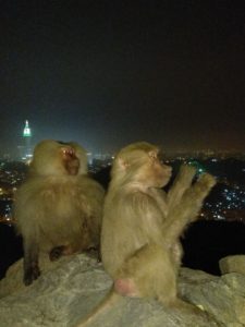 Perjalanan Mendaki Gunung Bebatuan Jabal Nur Gua Hira Mekkah